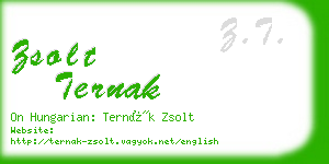 zsolt ternak business card